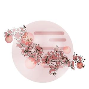 典雅青丽 (1)