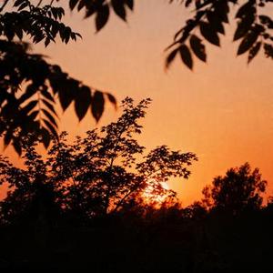 一想到你就喜欢