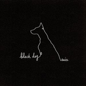 black dog
