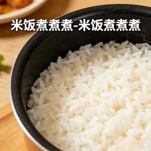 米饭煮煮煮