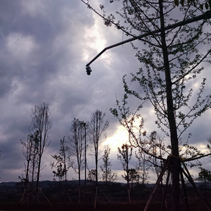 多想在平庸的生活拥抱你（翻自 冒险家）