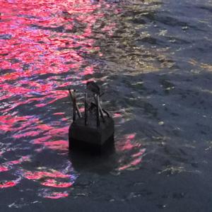 如果我在下一秒消失