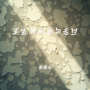 半生风雨匆匆走过