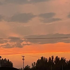 今天你要嫁给我+一无所有