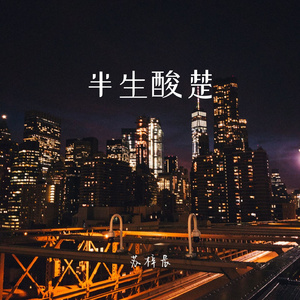 半生酸楚