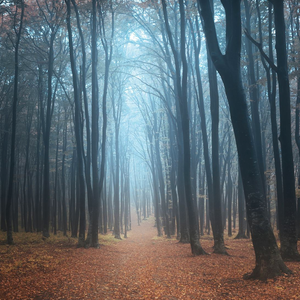 还款3万4千1百4拾4块1毛六