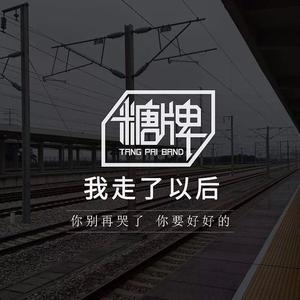 我走了以后