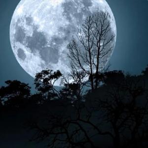 Деньги лезут в головы