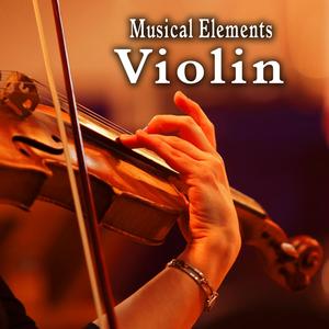 Violin Plays Two Notes