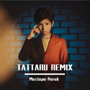 TATTARU REMIX 2024