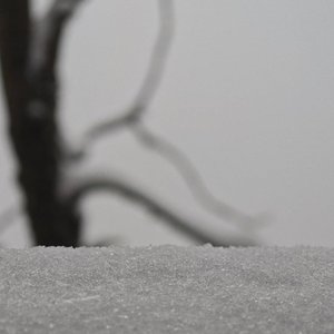 传统与流行的邂逅
时间彼岸幸存者