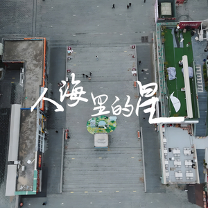 人海里的星