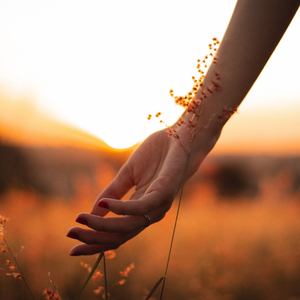 Untie the Rope (feat. Molly Roberts & Mc Raddie)