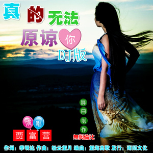 真的无法原谅你（DJ舞曲版）