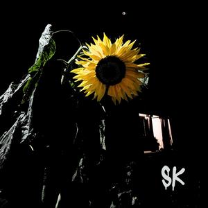 MY FRIEND (feat. Rasta T)