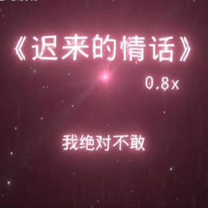 迟来的情话（0.8×） 伴奏