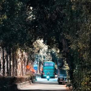 你现在过得好吗