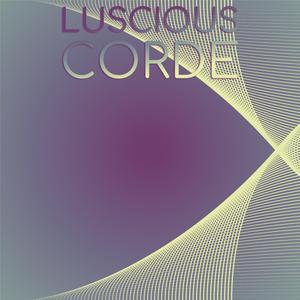 Etude Contadino