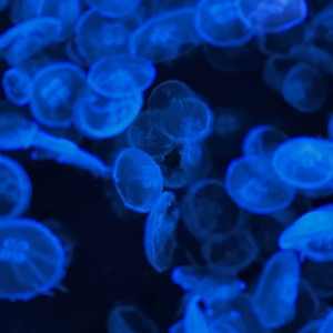 有 好 多 泡 泡 哦