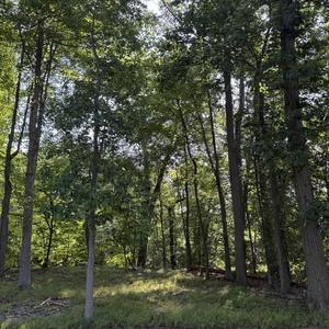 Why is it that people never take time to just look anymore. God gave us eyes, sometimes you have to make time in your day just to do nothing and do the little things like looking.