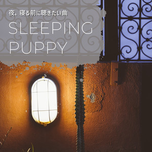 Soft Breezes in Nightfall