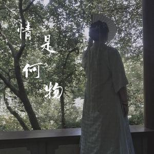 情是何物（翻自 周深）