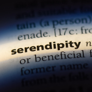 Serendipity