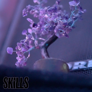Skills