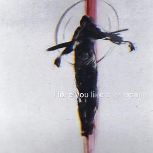 想念是无法降解的塑料