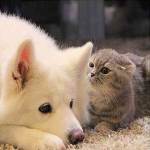 馒头的快乐时光 伴奏