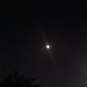 有一种悲伤（翻自 黄丽玲A-Lin）