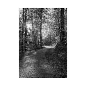 Sääksi (Audiophile Edition)