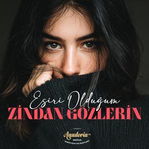 Esiri Olduğum Zindan Gözlerin