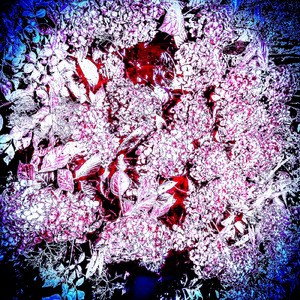 白羽の矢 (Solo Guitar Improvisation)