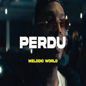 PERDU