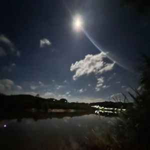 三叠纪.mp3