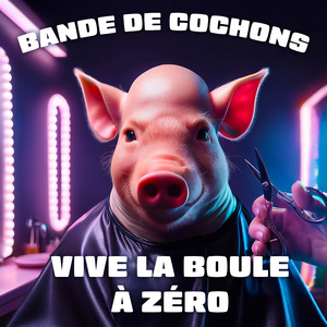 Vive la boule à zéro