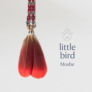 Little Bird