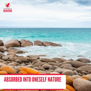 Scrubby Windy Forest