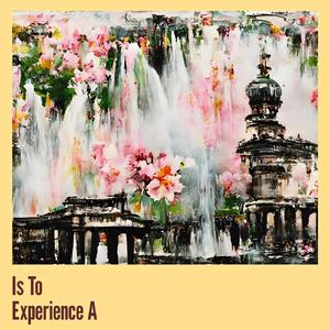 Is to Experience A