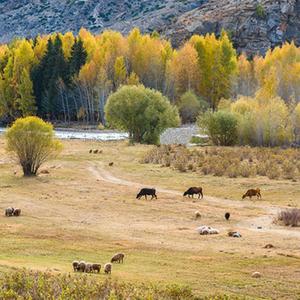 破阵子·沙场秋点兵