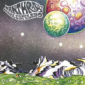 La Eterna Lucha del Gris y el Verde