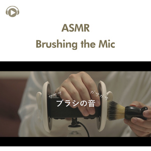ASMR - ブラシの音を頑張って撮ってみた_pt4 (feat. 右脳くん_Unoukun)
