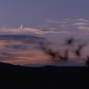 被伤的心在失眠夜哭泣