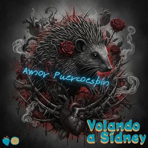 Amor Puercoespín