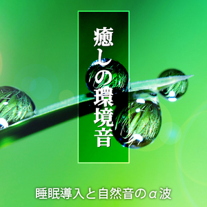 忙しい日々の終わりに聴きたい癒し系音楽