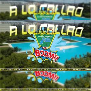 Pineda Boom Boom (Remix)