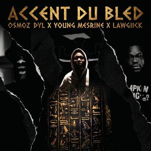 A.D.B (feat. Young Mesrine & Lawgiick)