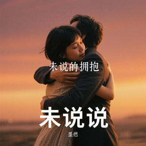 未说的拥抱