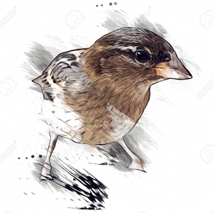 We Gone Be Okay (interlude) (feat. Taj Amir)